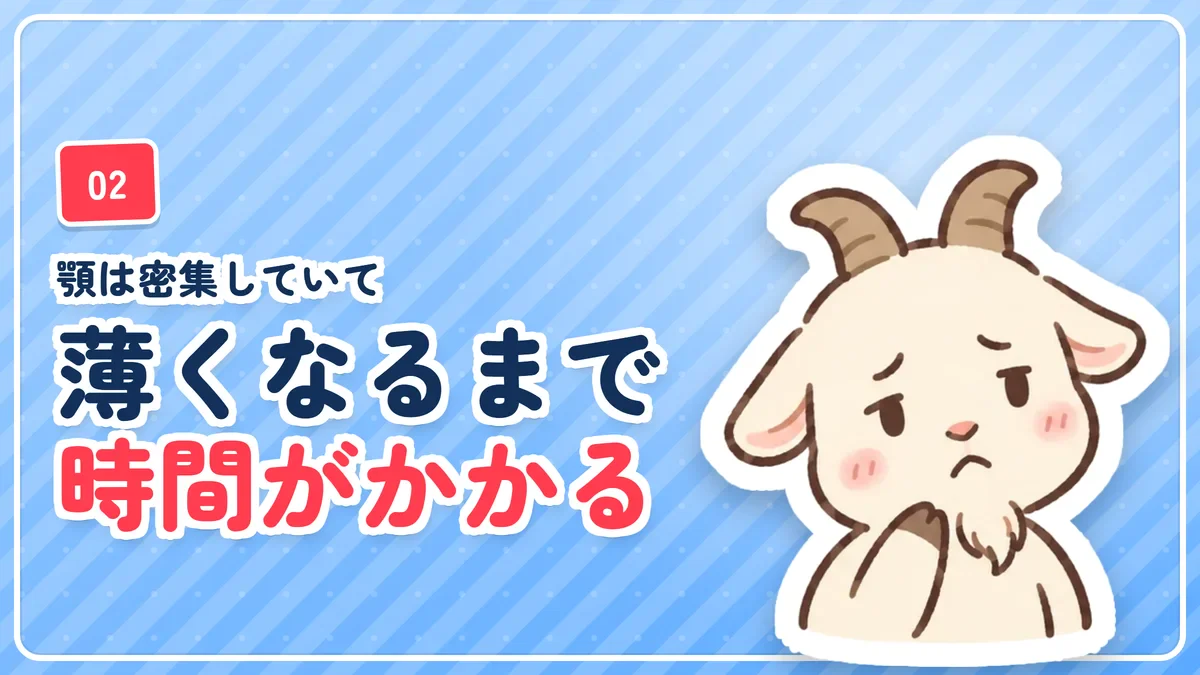顎はヒゲが密集していて薄くなるまで時間がかかったことを示したバナー